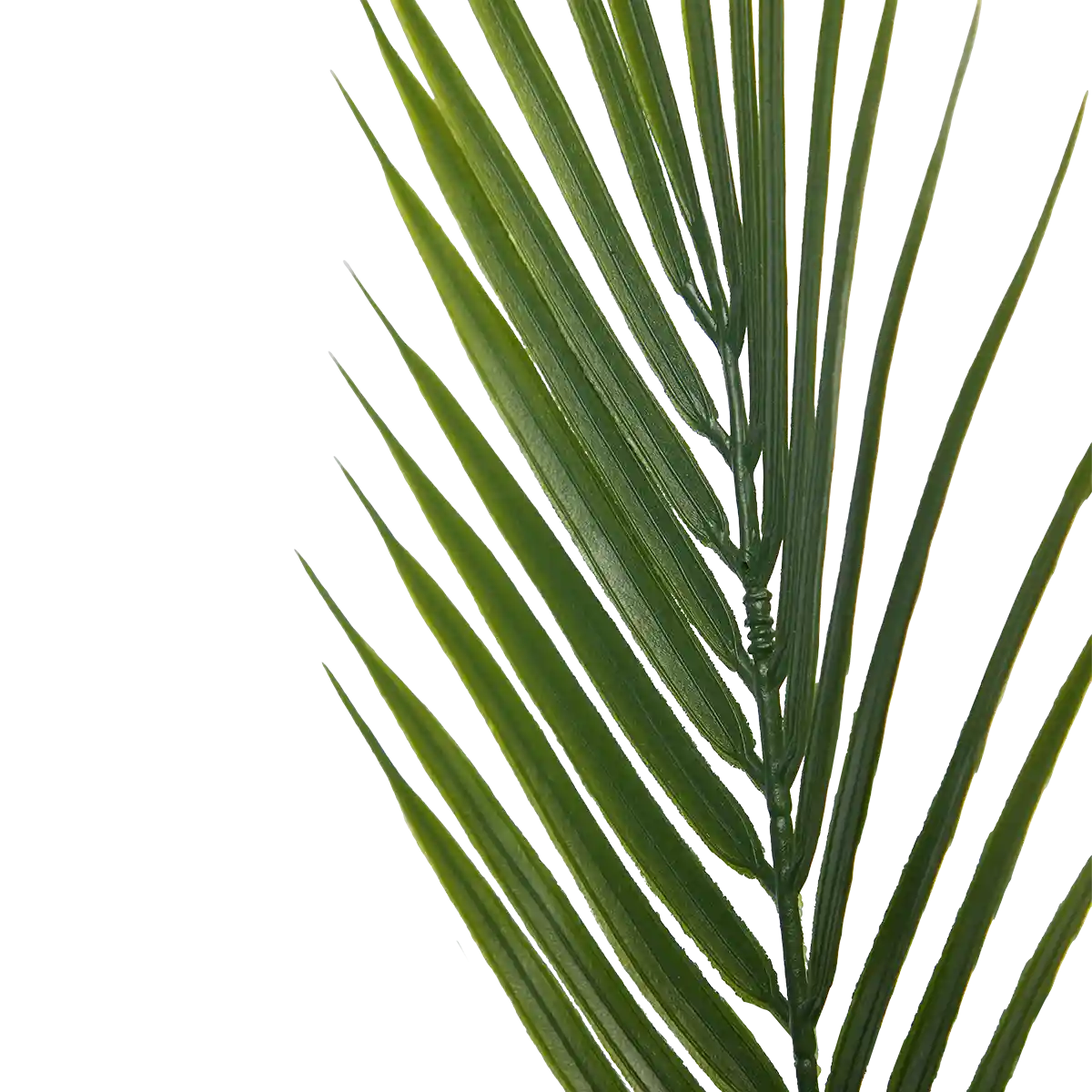 Künstliche Bergpalme - Nolte | 180 cm