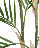 Künstliche Bergpalme - Nolte | 100 cm