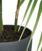 Künstliche Bergpalme - Nolte | 100 cm