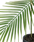 Künstliche Bergpalme - Nolte | 100 cm