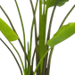 Künstliche Strelitzia - Colin, 180 cm, Kunstbaum von aplanta, in Natur, für drinnen