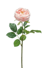 Hochwertige Hortensie künstlich auf transparentem Hintergrund mit echt wirkenden Kunstblättern in natürlicher Anordnung. Künstliche Rose - Samantha hat die Farbe Pfirsich und ist 60 cm hoch. | aplanta Kunstpflanzen