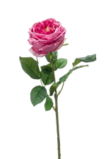 Hochwertige Hortensie künstlich auf transparentem Hintergrund mit echt wirkenden Kunstblättern in natürlicher Anordnung. Künstliche Rose - Charlotte hat die Farbe Altes Pink und ist 60 cm hoch. | aplanta Kunstpflanzen