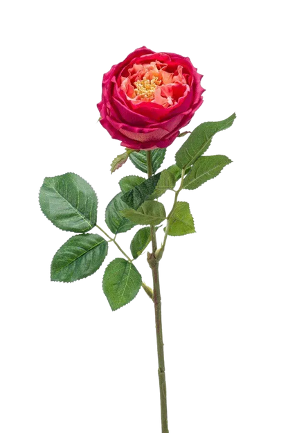 Hochwertige Kunstpflanze | Künstliche Rose - Estefania | 60 cm von 🌱aplanta