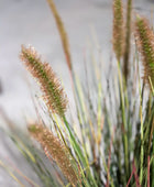 Lampada artificiale pulisci erba - Paulin | 45 cm