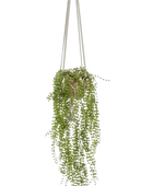 Hochwertige künstliche Hängepflanze auf transparentem Hintergrund mit echt wirkenden Kunstblättern in natürlicher Anordnung. Künstliche Kletterfeige - Hagrid hat die Farbe Natur und ist 100 cm hoch. | aplanta Kunstpflanzen