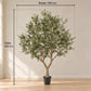 Künstlicher Olivenbaum - Mars | 250 cm