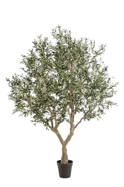 Künstlicher Olivenbaum - Mars, 250 cm, Kunstbaum von aplanta, in Grün, für drinnen