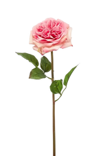 Hochwertige Hortensie künstlich auf transparentem Hintergrund mit echt wirkenden Kunstblättern in natürlicher Anordnung. Künstliche Rose - Fleur hat die Farbe Pink und ist 60 cm hoch. | aplanta Kunstpflanzen