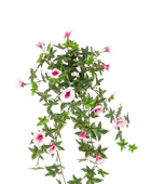 Künstliche Morning Glory - Yoel | 65 cm | UV-beständig