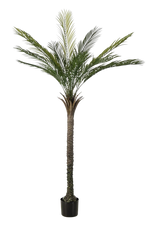Künstliche Palme - Pitus, 180 cm, Kunstbaum von aplanta, UV-beständig, in Grün, für draußen