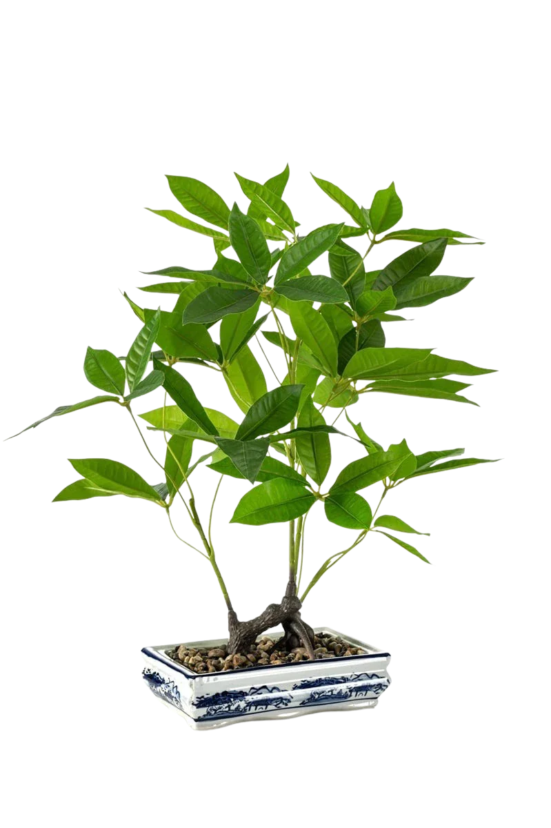 Künstlicher Bonsai - Sally | 62 cm