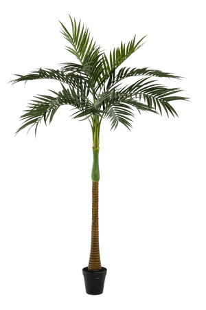 Künstliche Palme - Zasta | 245 cm