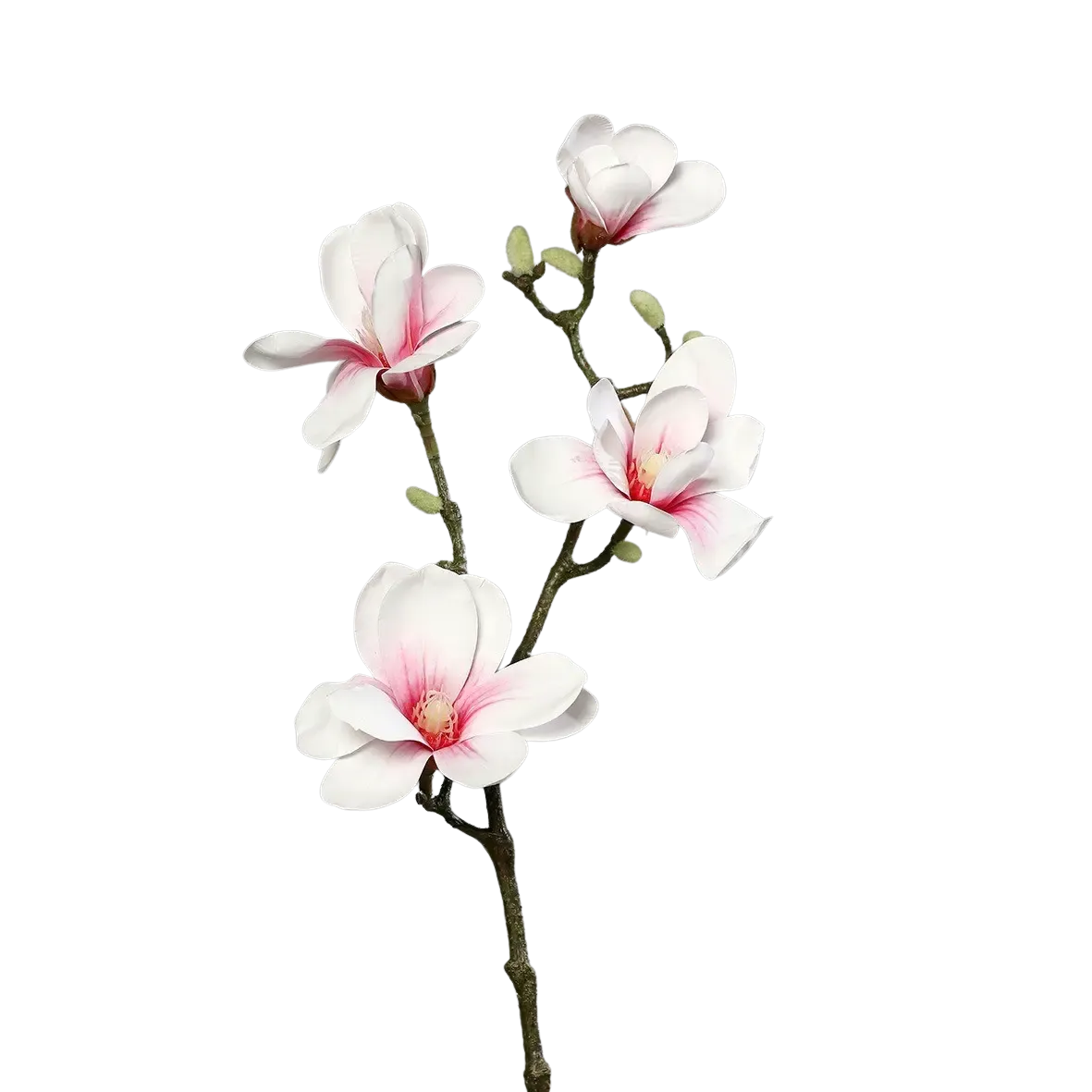 Ramo Di Magnolia Artificiale Lilo 75cm Con 4 Fiori Bianco Crema E Germogli – Finto, Per Decorazioni
