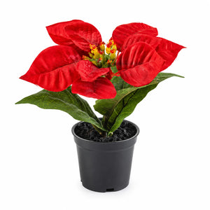 Künstlicher Weihnachtsstern – Natalina | 14 cm Rot