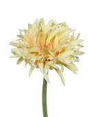 Künstliche Gerbera gefranzt - Adam auf transparentem Hintergrund mit echt wirkenden Kunstblättern in natürlicher Anordnung. Künstliche Gerbera gefranzt - Adam hat die Farbe gelb und ist 57 cm hoch. | aplanta Kunstpflanzen