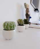 Succulente artificiali Kaketeen 3 pezzi - Bambo | 8 cm, vaso in ceramica bianca