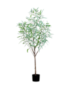 Hochwertiger Eukalyptus künstlich auf transparentem Hintergrund mit echt wirkenden Kunstblättern in natürlicher Anordnung. Künstlicher Eukalyptus - Manfred hat die Farbe Grün und ist 165 cm hoch. | aplanta Kunstpflanzen