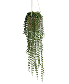 Ficus rampicante artificiale sospeso - Kjell | 80 cm