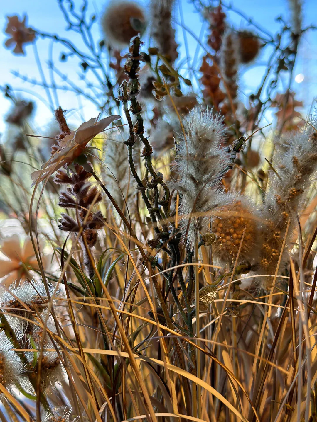 Künstliche Wiesenblumen - Ambre | 50 cm