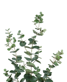 Ramo artificiale di eucalipto - Coca | 115 cm