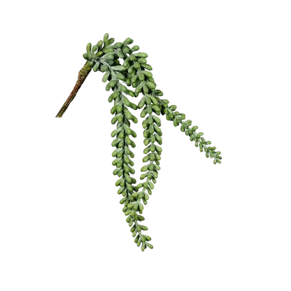 Künstlicher Sukkulenten Hänger - Jannis, 38 cm, Kunstpflanze von aplanta, Steckpflanze, in Natur, für drinnen