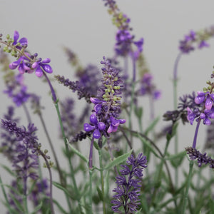 Künstlicher Lavendel - Yasar | 43 cm | in grauer Schale - Kunstpflanzen von aplanta