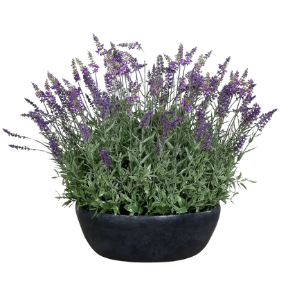Künstlicher Lavendel - Thorfinn, 60 cm, Kunstblume von aplanta, inkl. Dekotopf, in grauer Schale, in Lavender, für drinnen