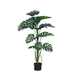 Künstliche Split-Philo-Pflanze - Piccolo |