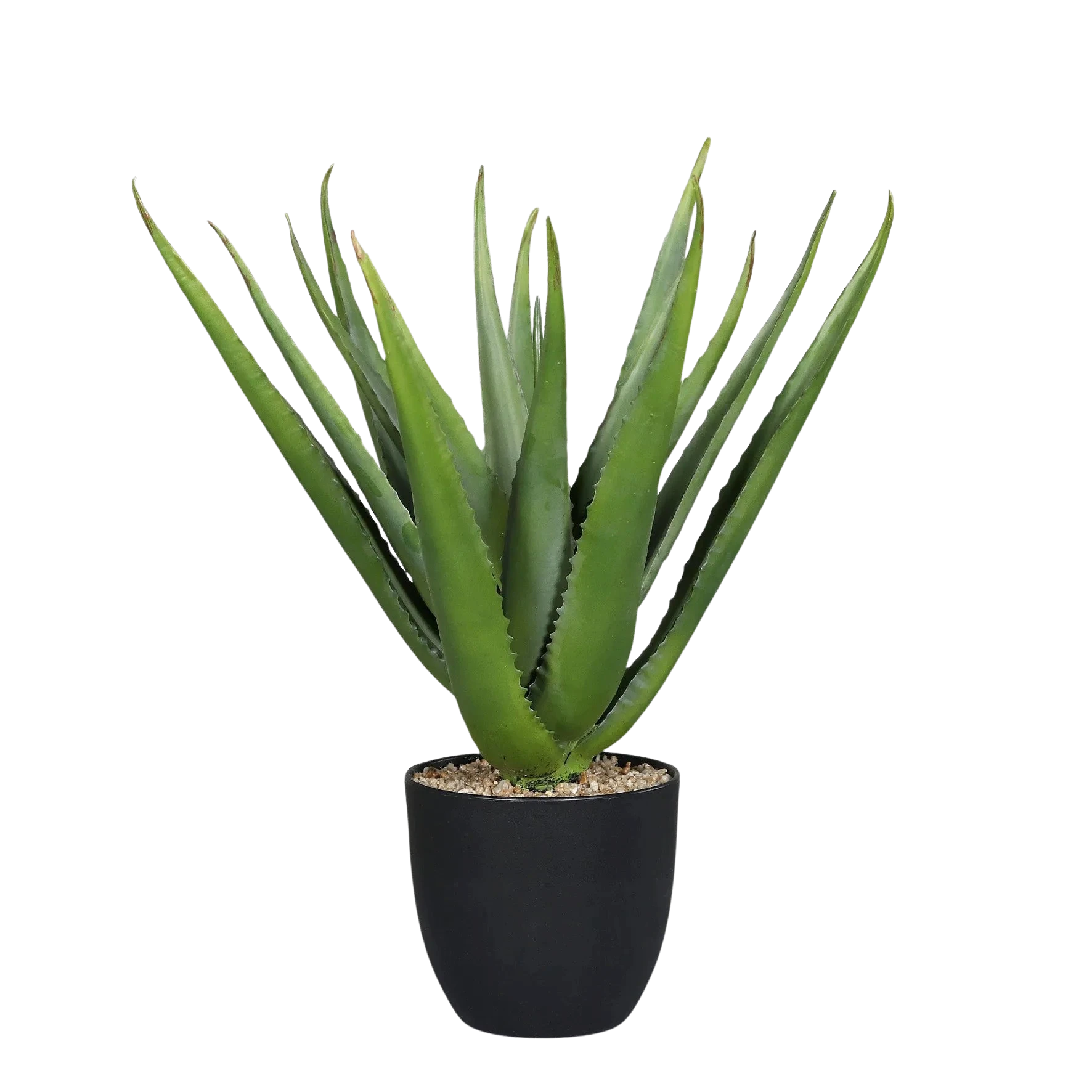 Künstliche Aloe Vera - Chester | 50 cm