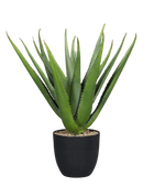 Künstliche Aloe Vera - Chester | 50 cm