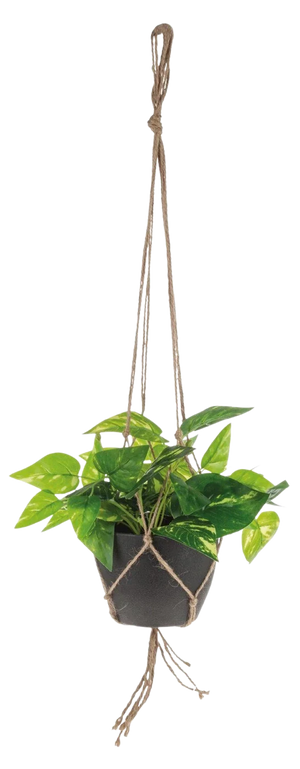 Künstliche Efeutute - Roger | 62 cm