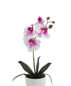 Künstliche Orchidee - Dan | 36 cm