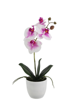 Künstliche Orchidee - Dan | 36 cm
