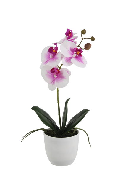 Künstliche Orchidee - Dan | 36 cm