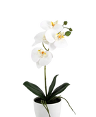 Künstliche Orchidee - Han | 36 cm
