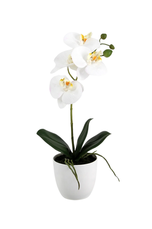 Künstliche Orchidee - Han | 36 cm
