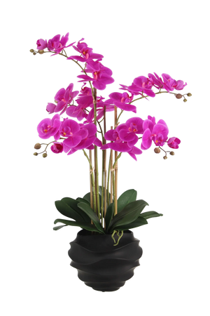 Künstliche Orchidee - Li | 67 cm