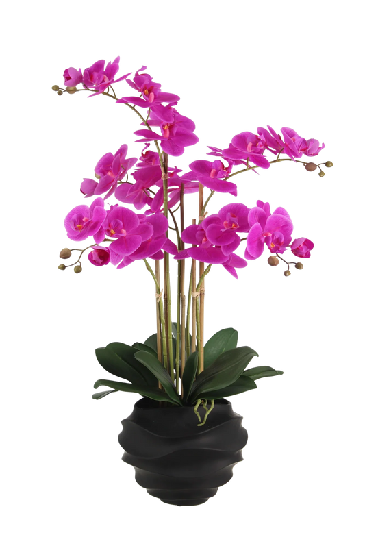 Künstliche Orchidee - Li | 67 cm