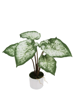 Künstliche Caladium - Dalia | 45 cm