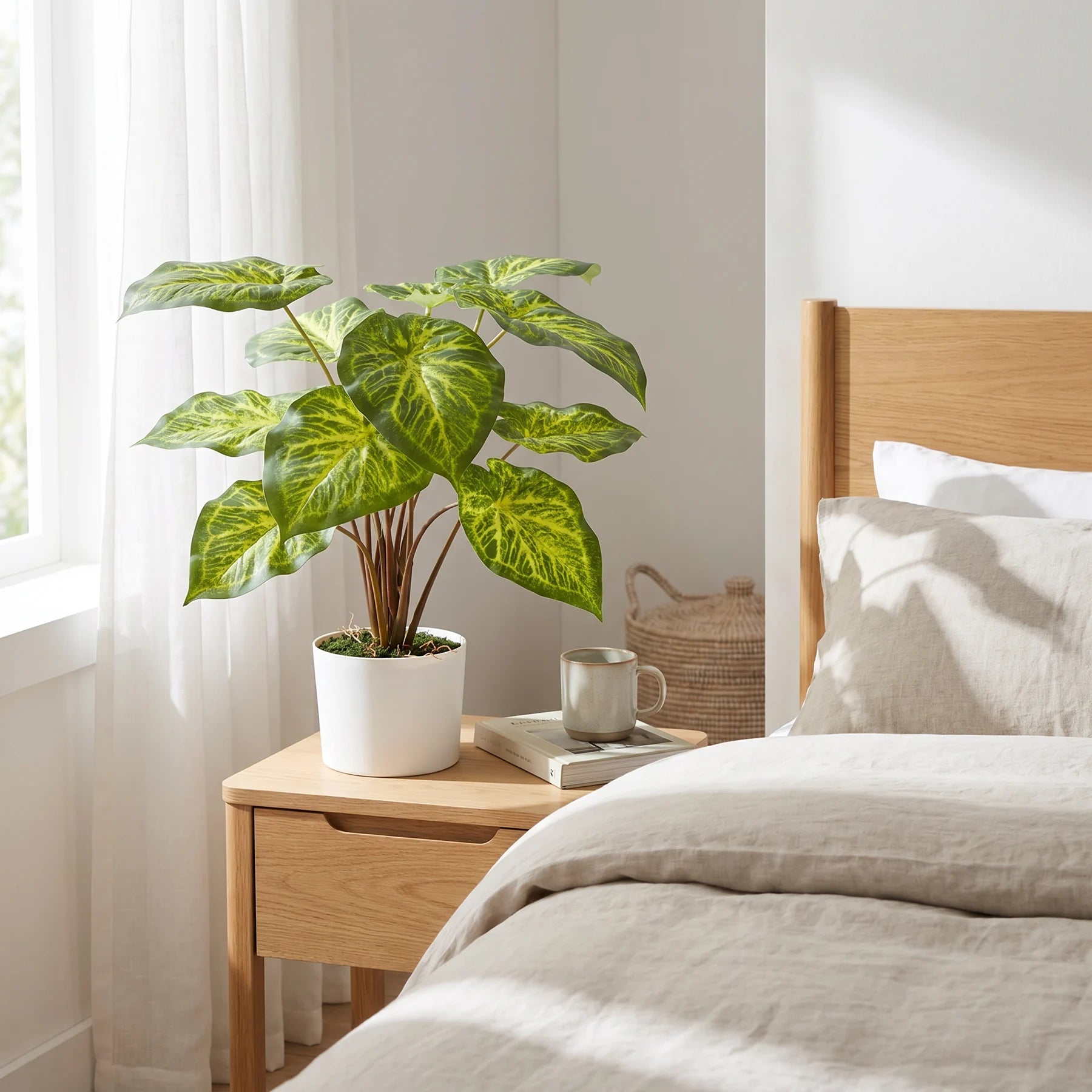 Künstliche Caladium - Lima, 61 cm, Kunstpflanze von aplanta, inkl. Dekotopf, in Grün, für drinnen