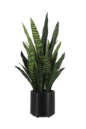 Künstlicher Bogenhanf - Leandro | 75 cm