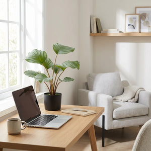 Künstliche Calathea - Silvina | 45 cm