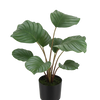 Künstliche Calathea - Silvina, 45 cm, Kunstpflanze von aplanta, Real Touch, in Grün, für drinnen