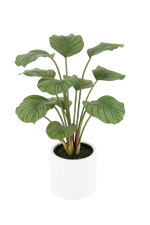 Künstliche Calathea - Juana, 68 cm, Kunstpflanze von aplanta, inkl. Dekotopf, in Grün, für drinnen