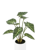 Künstliche Alocasia - Svannah | 59 cm