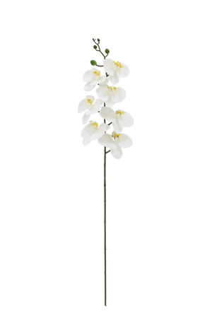 Künstliche Orchidee - Chen Lu | 86 cm