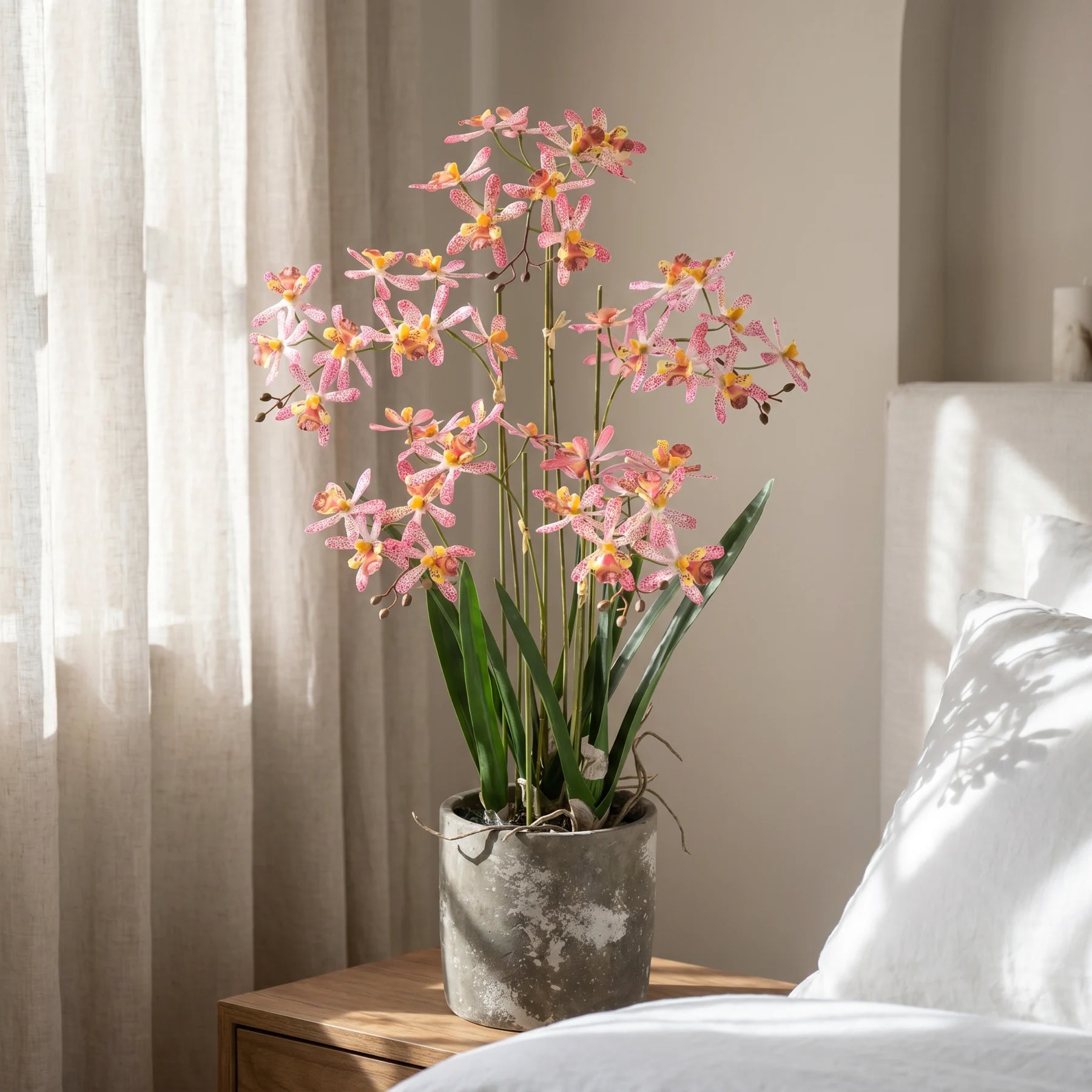 Künstliche Orchidee - Han, 58 cm, Kunstblume von aplanta, inkl. Dekotopf, in Rot, für drinnen