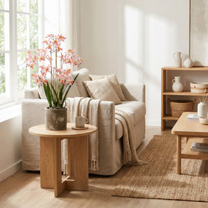 Künstliche Orchidee - Han  | 59 cm