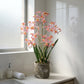 Künstliche Orchidee - Han, 58 cm, Kunstblume von aplanta, inkl. Dekotopf, in Rot, für drinnen